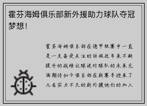 霍芬海姆俱乐部新外援助力球队夺冠梦想！